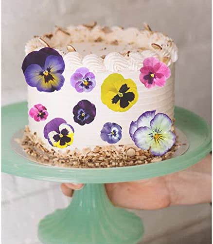 Edible Pansies for Cake Decorating 7 Colors 28pcs Cupcake Topper